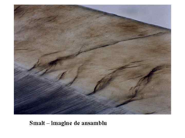 Smalt – imagine de ansamblu 