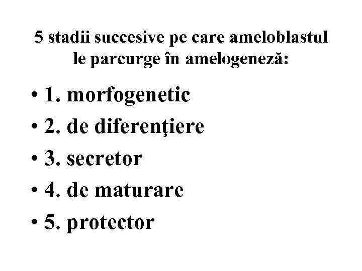 5 stadii succesive pe care ameloblastul le parcurge în amelogeneză: • 1. morfogenetic •