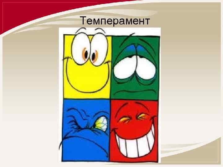 Темперамент 