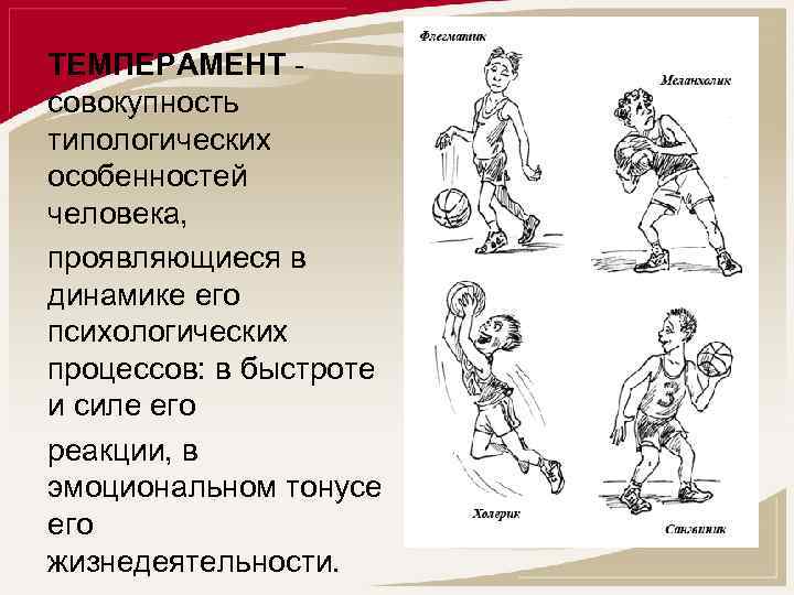 ТЕМПЕРАМЕНТ совокупность типологических особенностей человека, проявляющиеся в динамике его психологических процессов: в быстроте и