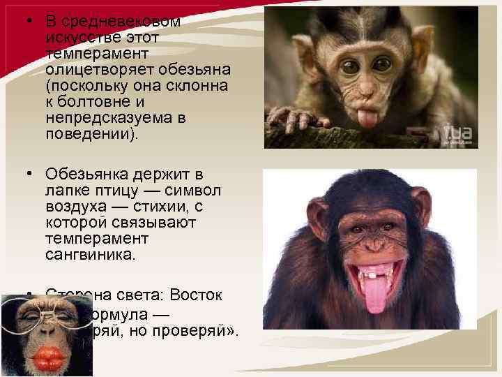  • В средневековом искусстве этот темперамент олицетворяет обезьяна (поскольку она склонна к болтовне