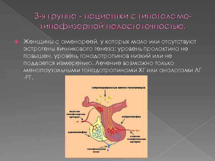 3 -я группа - пациентки с гипоталамогипофизарной недостаточностью. Женщины с аменореей, у которых мало