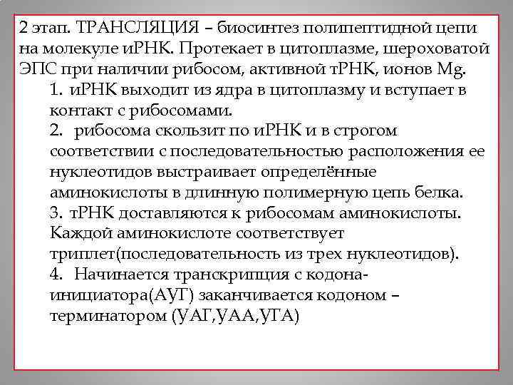 2 этап. ТРАНСЛЯЦИЯ – биосинтез полипептидной цепи на молекуле и. РНК. Протекает в цитоплазме,
