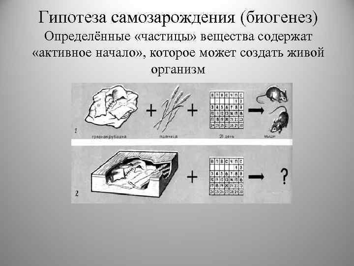 Гипотеза самозарождения (биогенез) Определённые «частицы» вещества содержат «активное начало» , которое может создать живой