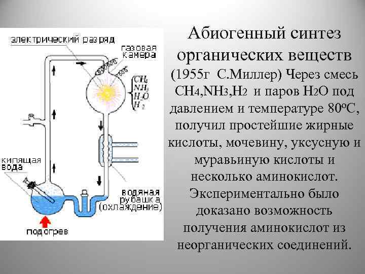 Абиогенный синтез органических веществ (1955 г С. Миллер) Через смесь CH 4, NH 3,