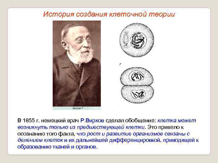 История создания клеточной теории В 1855 г. немецкий врач Р. Вирхов сделал обобщение: клетка
