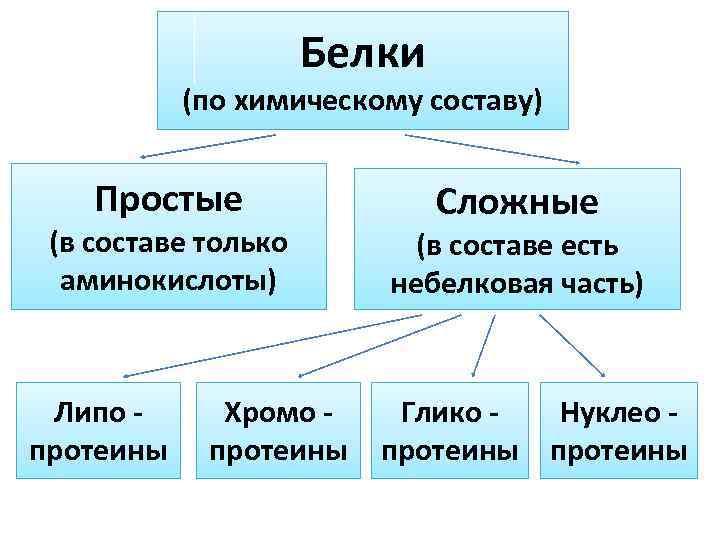 Белка по составу. Белки по химическому составу. Состав белков химия. Белок химический состав. Классификация белков по хим составу.