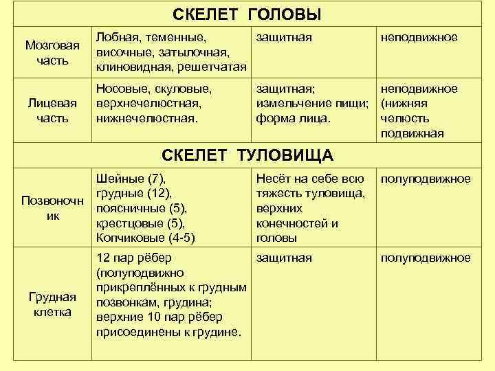 СКЕЛЕТ ГОЛОВЫ Мозговая часть Лицевая часть Лобная, теменные, защитная височные, затылочная, клиновидная, решетчатая Носовые,