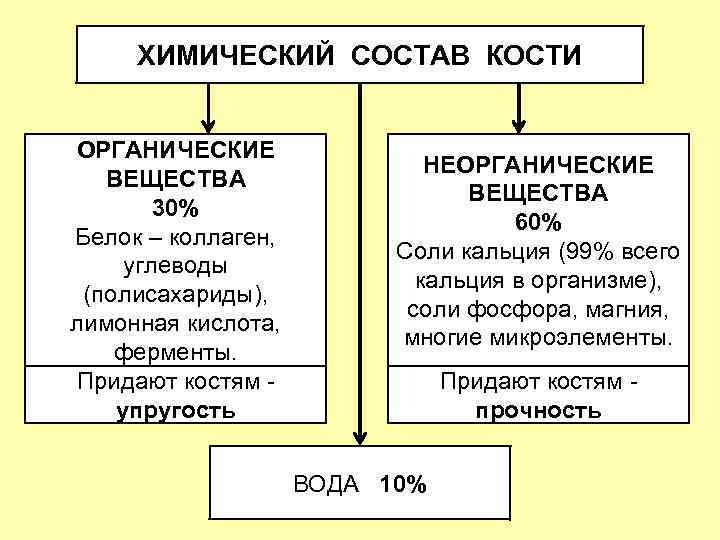 Соотнести вещества. Химический состав костей схема. Состав минерального вещества кости. Состав кости схема органические вещества неорганические вещества. Состав кости органические и неорганические.