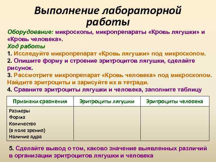 Выполнение лабораторной работы Оборудование: микроскопы, микропрепараты «Кровь лягушки» и «Кровь человека» . Ход работы