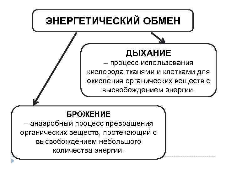 ЭНЕРГЕТИЧЕСКИЙ ОБМЕН ДЫХАНИЕ – процесс использования кислорода тканями и клетками для окисления органических веществ