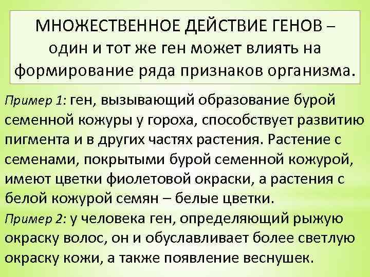 МНОЖЕСТВЕННОЕ ДЕЙСТВИЕ ГЕНОВ – один и тот же ген может влиять на формирование ряда