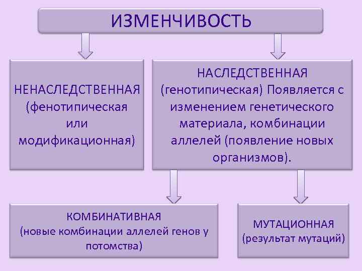 Изменчивость наследственная и ненаследственная схема