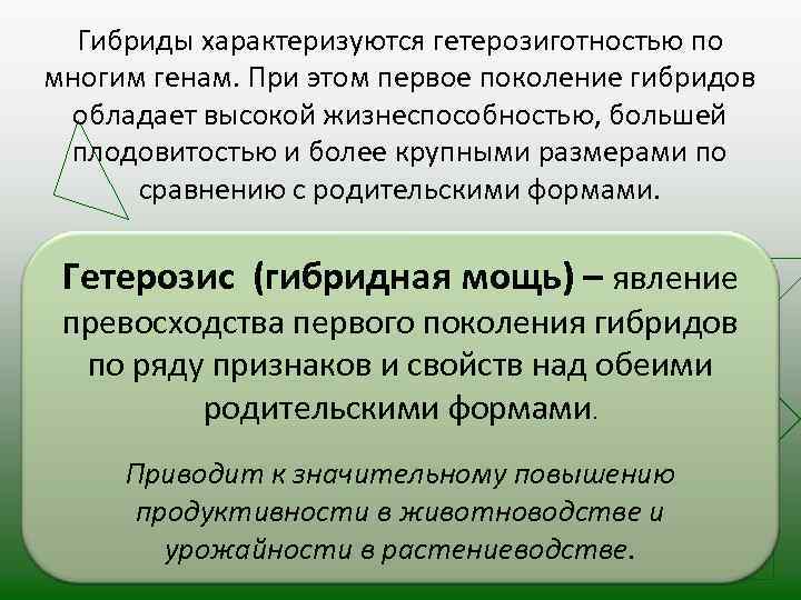 Гибриды характеризуются гетерозиготностью по многим генам. При этом первое поколение гибридов обладает высокой жизнеспособностью,