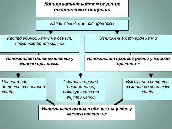 Коацерватная капля = сгусток органических веществ Характерные для нее процессы Распад единой капли на
