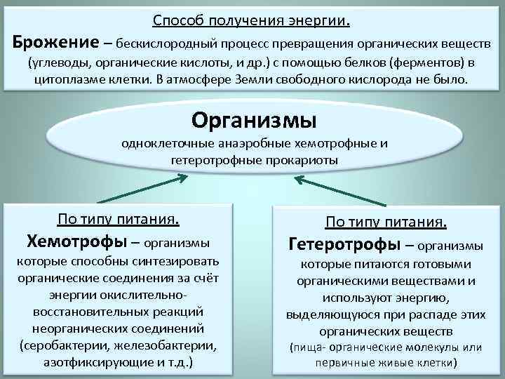 Методы получения органических. Процесс превращения. Хемотрофы способ получения органических веществ. Пути получения энергии брожение.