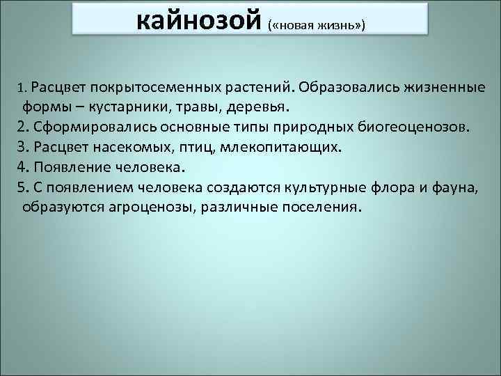 кайнозой ( «новая жизнь» ) 1. Расцвет покрытосеменных растений. Образовались жизненные формы – кустарники,