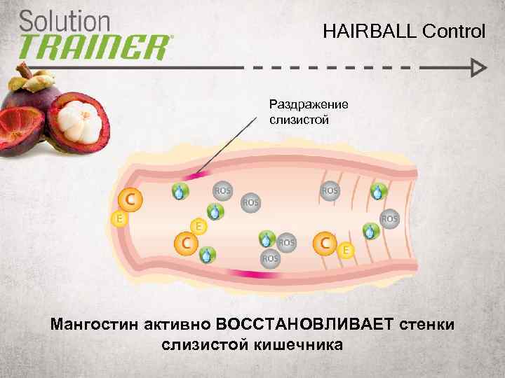 HAIRBALL Control Раздражение слизистой Мангостин активно ВОССТАНОВЛИВАЕТ стенки слизистой кишечника 