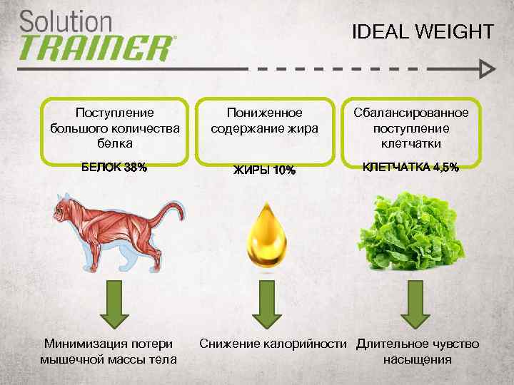 IDEAL WEIGHT Поступление большого количества белка Пониженное содержание жира Сбалансированное поступление клетчатки БЕЛОК 38%