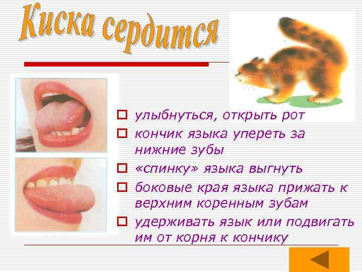 o улыбнуться, открыть рот o кончик языка упереть за нижние зубы o «спинку» языка