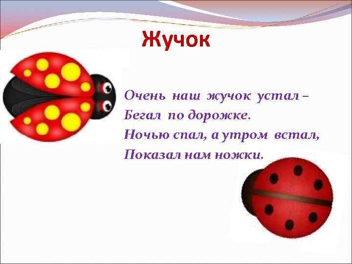 Жучок Очень наш жучок устал – Бегал по дорожке. Ночью спал, а утром встал,