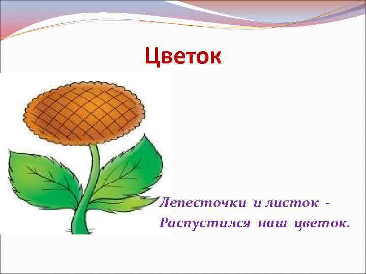 Цветок Лепесточки и листок - Распустился наш цветок. 