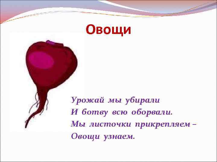 Овощи Урожай мы убирали И ботву всю оборвали. Мы листочки прикрепляем – Овощи узнаем.