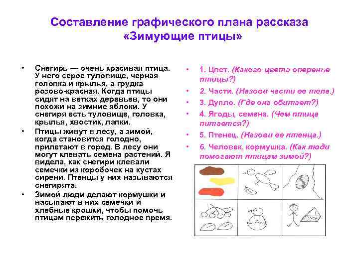 Составление графического плана рассказа «Зимующие птицы» • • • Снегирь — очень красивая птица.