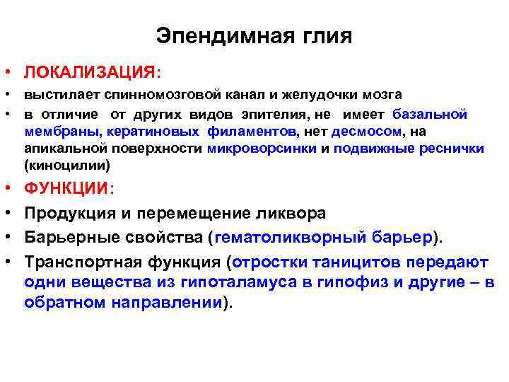 Эпендимная глия • ЛОКАЛИЗАЦИЯ: • выстилает спинномозговой канал и желудочки мозга • в отличие