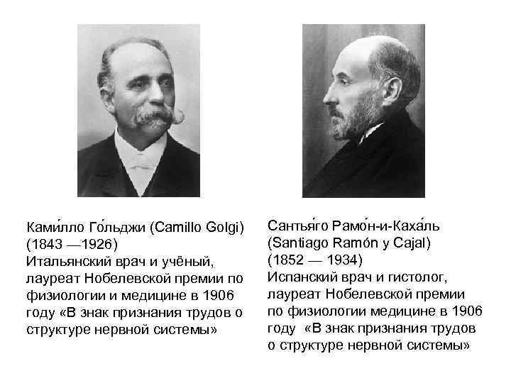 Ками лло Го льджи (Camillo Golgi) (1843 — 1926) Итальянский врач и учёный, лауреат