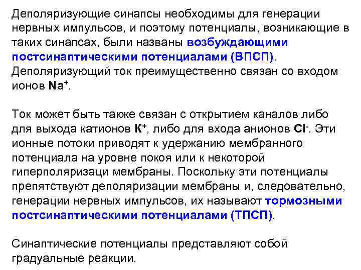 Деполяризующие синапсы необходимы для генерации нервных импульсов, и поэтому потенциалы, возникающие в таких синапсах,