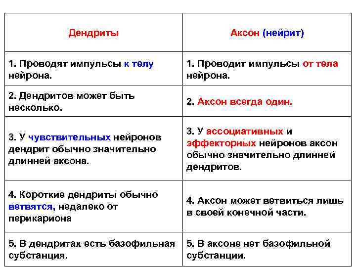 Дендриты Аксон (нейрит) 1. Проводят импульсы к телу нейрона. 1. Проводит импульсы от тела