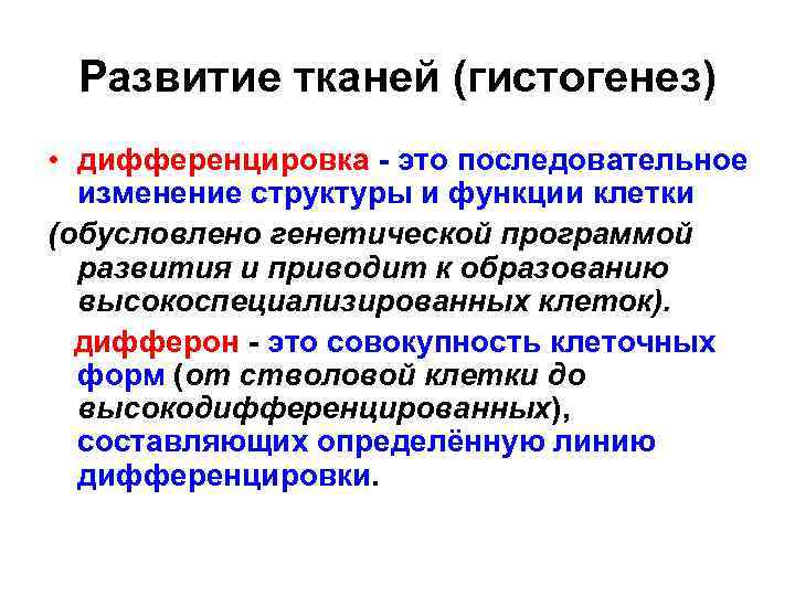 Развитие тканей (гистогенез) • дифференцировка - это последовательное изменение структуры и функции клетки (обусловлено