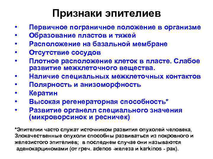 Признаки эпителиев • • • Первичное пограничное положение в организме Образование пластов и тяжей