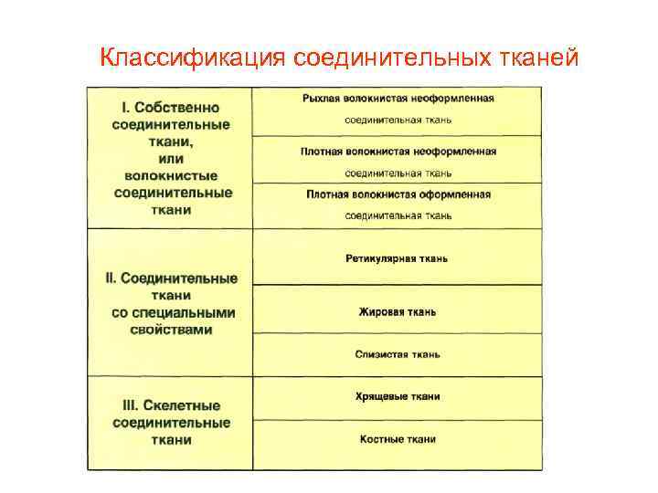 Классификация соединительных тканей 