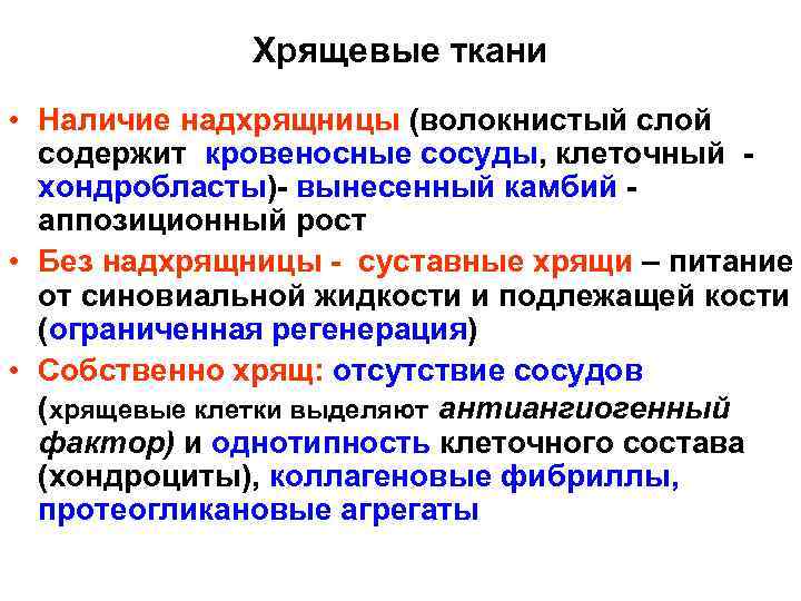 Хрящевые ткани • Наличие надхрящницы (волокнистый слой содержит кровеносные сосуды, клеточный - хондробласты)- вынесенный