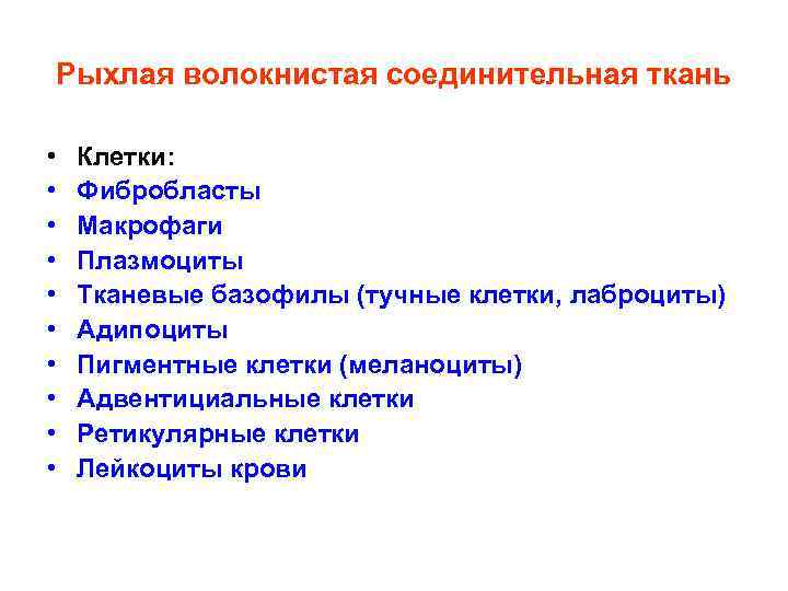 Рыхлая волокнистая соединительная ткань • • • Клетки: Фибробласты Макрофаги Плазмоциты Тканевые базофилы (тучные