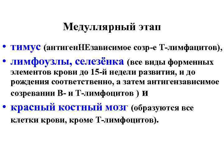 Медуллярный этап • тимус (антиген. НЕзависимое созр-е Т-лимфацитов), • лимфоузлы, селезёнка (все виды форменных