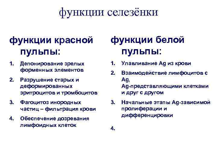 функции селезёнки функции красной пульпы: функции белой пульпы: 1. Улавливание Ag из крови 2.