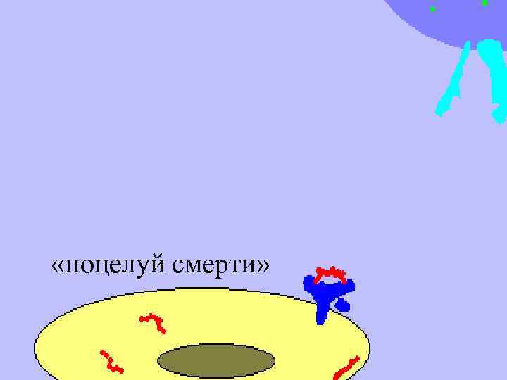  «поцелуй смерти» 