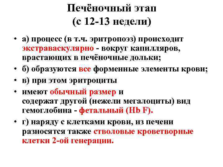 Печёночный этап (с 12 -13 недели) • а) процесс (в т. ч. эритропоэз) происходит