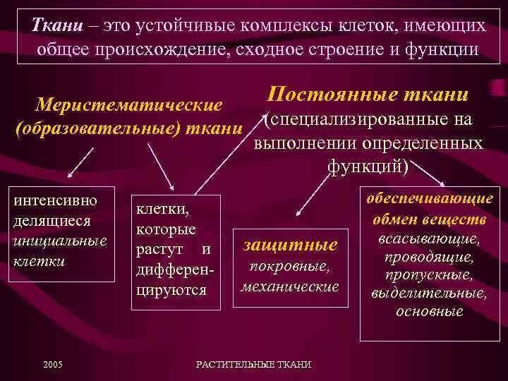Ткани – это устойчивые комплексы клеток, имеющих общее происхождение, сходное строение и функции Постоянные