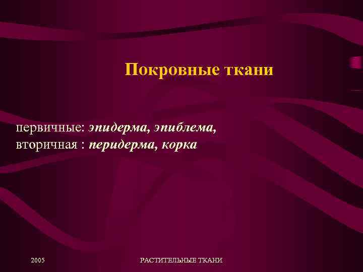Покровные ткани первичные: эпидерма, эпиблема, вторичная : перидерма, корка 2005 РАСТИТЕЛЬНЫЕ ТКАНИ 