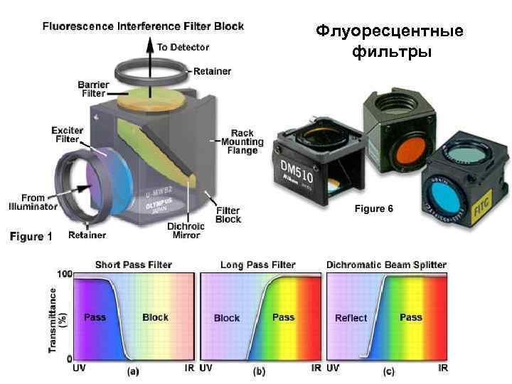 Флуоресцентные фильтры 