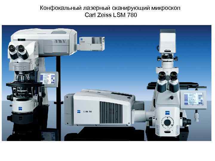 Конфокальный лазерный сканирующий микроскоп Carl Zeiss LSM 780 