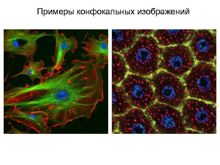 Изображения полученные с помощью