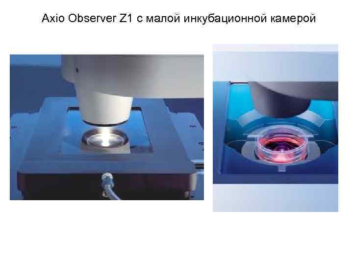 Axio Observer Z 1 с малой инкубационной камерой 