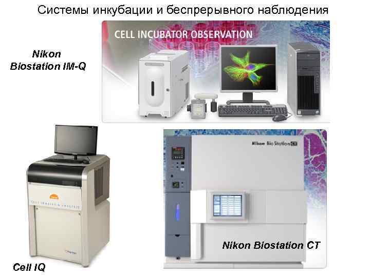 Системы инкубации и беспрерывного наблюдения Nikon Biostation IM-Q Nikon Biostation CT Cell IQ 