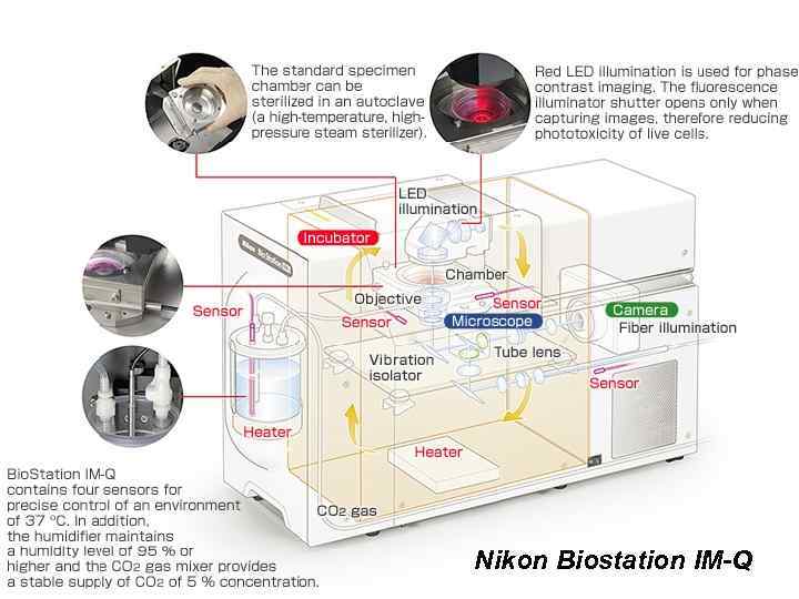 Nikon Biostation IM-Q 