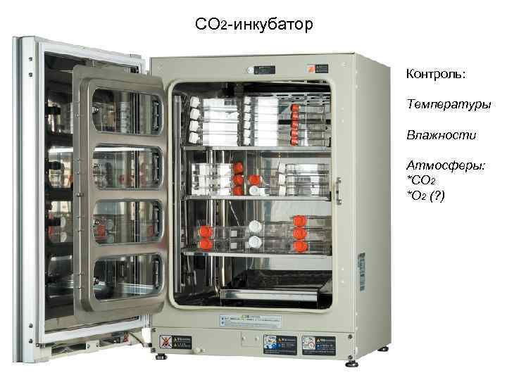 CO 2 -инкубатор Контроль: Температуры Влажности Атмосферы: *CO 2 *O 2 (? ) 